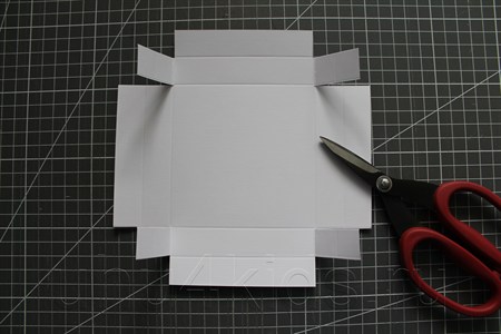 ���������-�������� �� �������